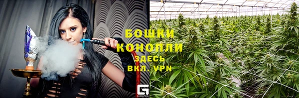 стафф Аркадак