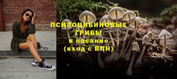 стафф Аркадак