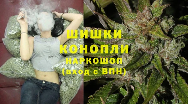 стафф Аркадак